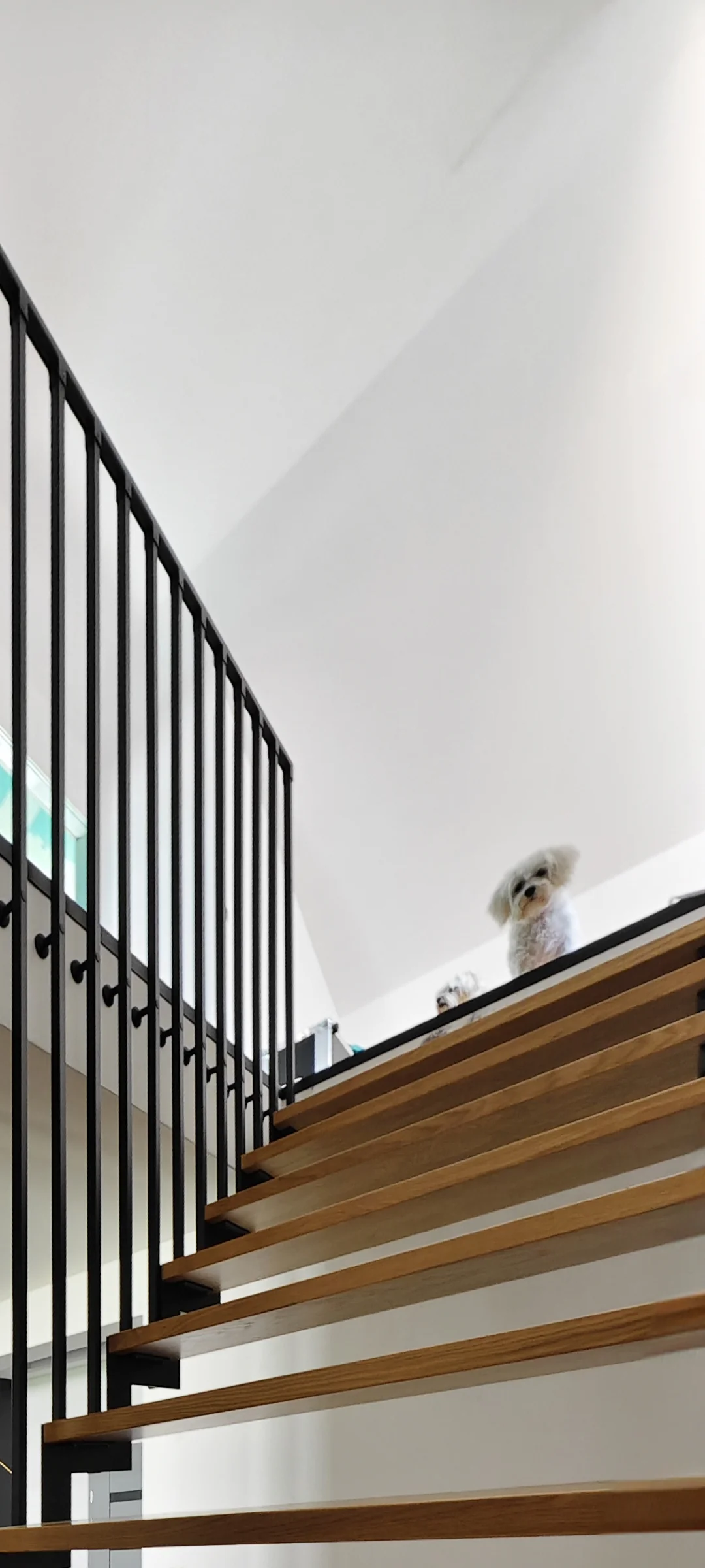 balustrada harfa montowana z boku grojec